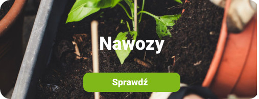 Nawozy