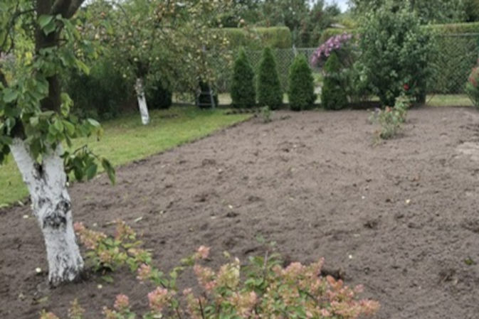 Bielenie drzew owocowych - kompleksowy przewodnik